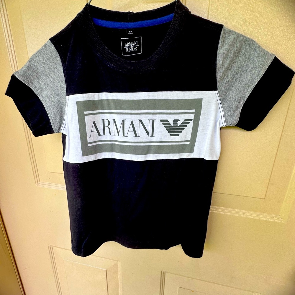 Gray and Blue Armani Tshirt